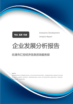 樂清市匯控經濟信息咨詢服務部 企業定位、業務發展與市場前景分析報告